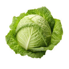 fresh green open cabbage, leafy vegetable ,isolated on a transparent background. PNG cutout or clipping path.	