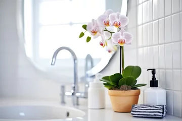 Fotobehang an orchid in a glossy white pot on a bathroom counter © Natalia