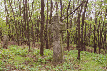 Ancient gravestones in an abandoned cemetery on the Trakhtemyriv Peninsula. Ukraine