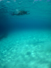 a woman snorkeling in the caribbean sea