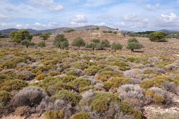 Landschaft bei Charaki auf Rhodos
