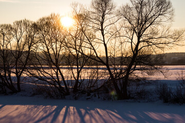 Fototapeta na wymiar Winter nature at a beautiful sunset with trees on the shore of a pond