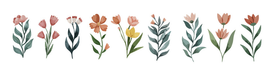 Set of floral watercolor minimalist flowers branch