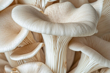 Fototapeta na wymiar Close up of structure Raw forest mushrooms as background, macro view