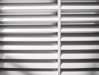 the window blinds
