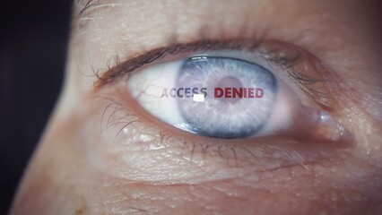 System Access Denied During An Iris Eye Scan. Close-up