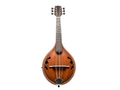 a old mandolin isolated