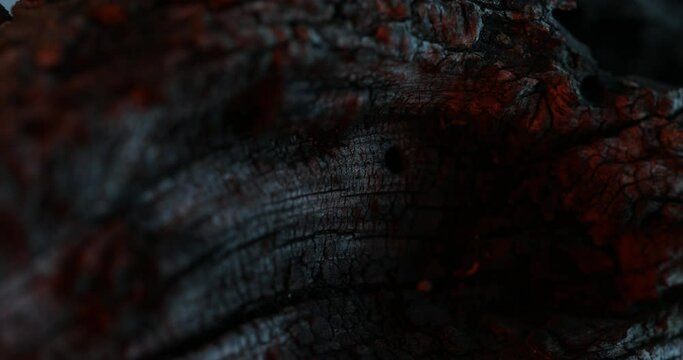Ember Glow on Charcoal Wood Texture. Close-up, shallow dof.