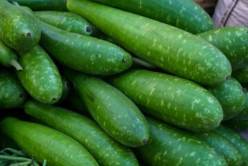 Large quantity of fresh cucumbers neatly arranged and stacked on a table