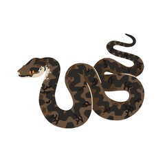 Obraz premium Vipera berus. Common viper. European adder. Venomous snake with patterned skin. Poisonous serpent of forests of Europa. Woodland dangerous animal. Flat isolated vector illustration on white background