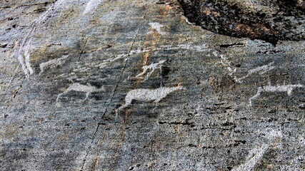 Cave paintings of ancient people, petroglyphs. Archaeological site, Zalavruga, Republic of Karelia. Russia.