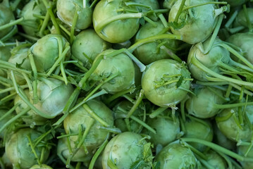 Close-up of fresh green German kohlrabi cabbage, a delectable vegetable ready for consumption - obrazy, fototapety, plakaty