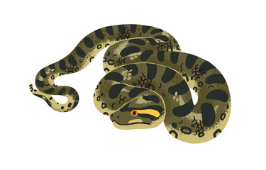 Giant green anaconda. Common water boa. Huge exotic tropical serpent. Dangerous big Amazonian snake. Terrarium animal of rainforest, jungle fauna. Flat isolated vector illustration on white background
