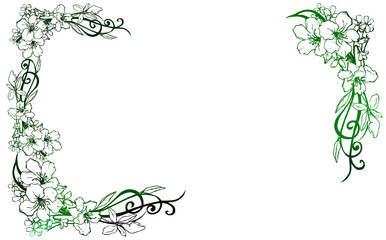 frame flowers PNG