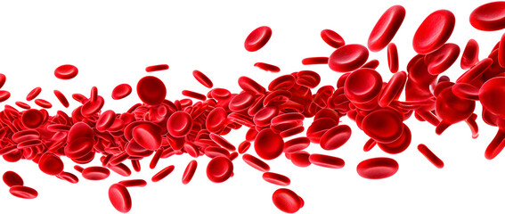 Stream of red blood cells in plasma, medical microscopic concept. Transparent background. - obrazy, fototapety, plakaty