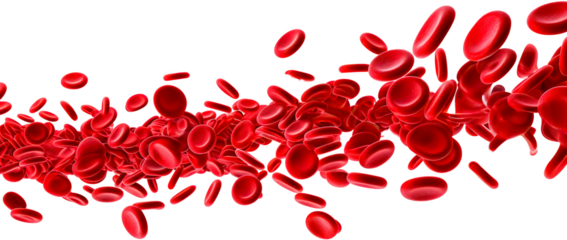 Stream of red blood cells in plasma, medical microscopic concept. Transparent background.