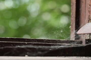 Cobweb on old wooden window frame indoors, closeup