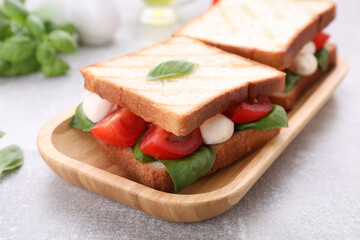 Delicious Caprese sandwiches with mozzarella, tomatoes, basil and pesto sauce on grey table, closeup