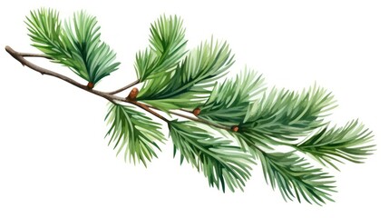 Obraz premium twig of rosemary on white background