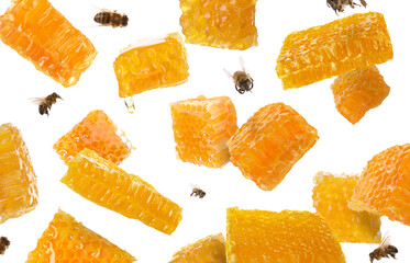 Pieces of honeycomb in air and bees flying on white background