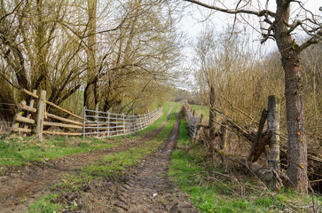 Fototapeta premium Agricultural metal fence barrier around a field in the rural countryside and muddy road