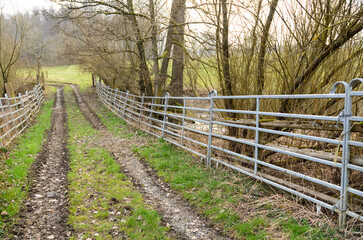 Fototapeta na wymiar Agricultural metal fence barrier around a field in the rural countryside and muddy road