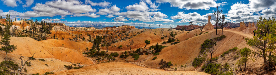 Bryce Canyon view in Utah, USA
