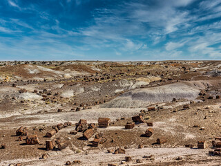 Petrified rocks from Petrified Forest near Holbrook Arizona, USA