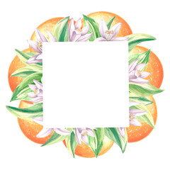 Fototapeta na wymiar Square frame of oranges with green leaves and white flowers. Summer citrus template with copy space. Isolated hand drawn illustration for card and invitation, making stickers, print packaging, textile