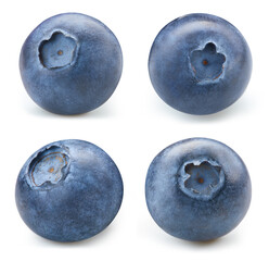 Fresh organic blueberry isolated