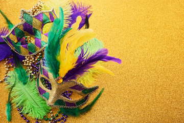 Mardi gras background with mask and feather