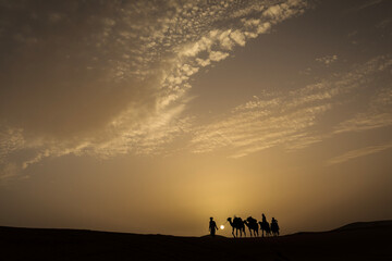Fototapeta na wymiar Silhouette of camel caravan with beautiful clouds in background in Sahara, Merzouga, Morocco