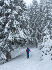 nice and active senior woman hiking with snow shoes in deep powder snow in the Allgau alps, Bavaria, Germany