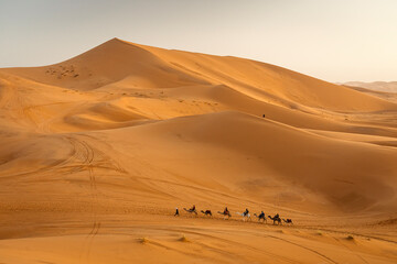 Fototapeta na wymiar Camel caravan between beautiful dunes of desert in Sahara, Merzouga, Morocco