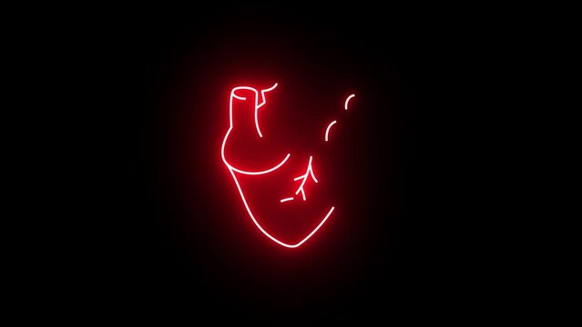 Neon human heart animation. Animation of a beating glowing human heart with alpha channel. Human heart beating against a black background animation.