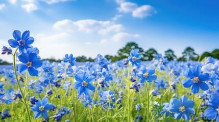 nature blue spring background illustration floral vibrant, fresh sky, blossom season nature blue spring background