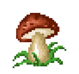 Fototapeta premium A forest mushroom with green grass. 