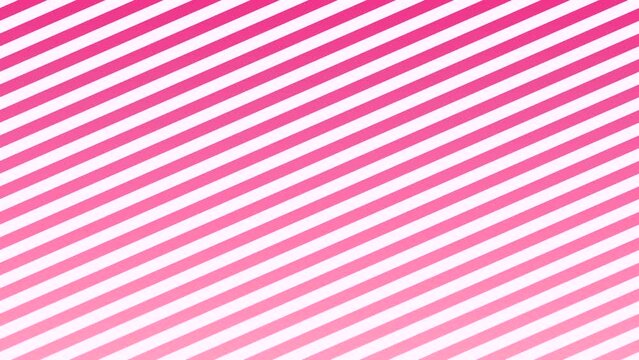 Pink line background animation abstract background