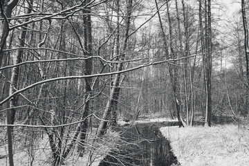 Winterlandschaft  - Winter - Cold - Background - Black - White - Landscape - Water - Lake - River -...