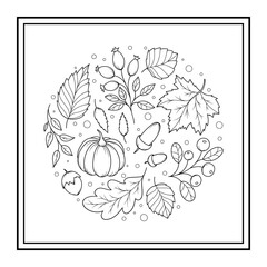 Round drawing with an autumn theme - pumpkin, leaves, fruits and acorns. Coloring antistress for adults and children. Doodle ornament in black and white. Hand draw vector illustration.