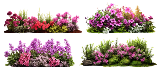 Set of garden flowers, cut out