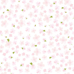 Vector seamless pattern with cherry blossom flowers