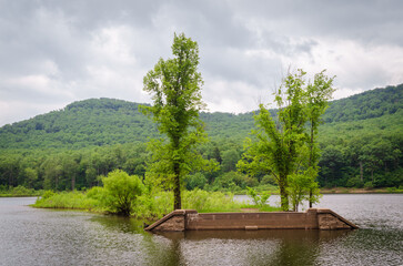 Fototapeta premium Allegheny National Forest Overlook of the Allegheny River in Pennsylvania