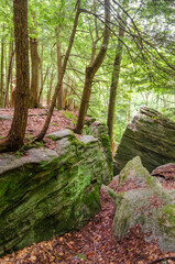 Rimrock in the Allegheny National Forest