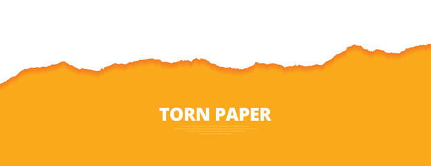 Torn paper ripped yellow color edges, empty, blank, sheets web long banner design vector illustration