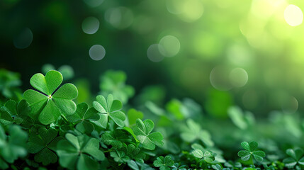 Happy St.Patriks day. Composition with clover leaves	
