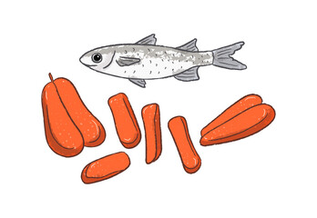 Grey mullet fish and dried mullet fish eggs