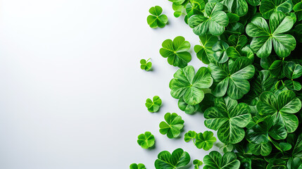 Happy St.Patriks day, Clover on white background.	
