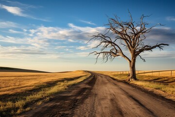 illustration, dead tree alone, on the country road