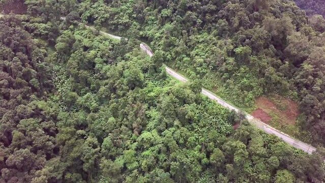 Aerial logistics concept. A winding road traverses the vibrant tropical rainforest, creating a mesmerizing blend of nature and transportation.